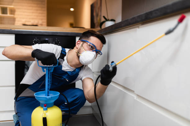 Best Best Pest Control Companies  in New Deal, TX