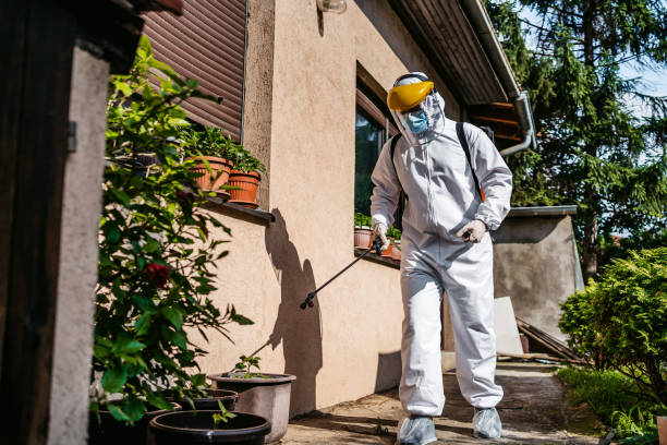 Best Residential Pest Control  in New Deal, TX