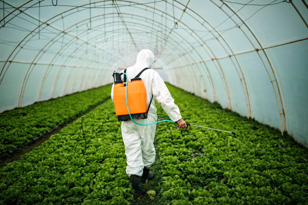 Best Pest Prevention Services  in New Deal, TX