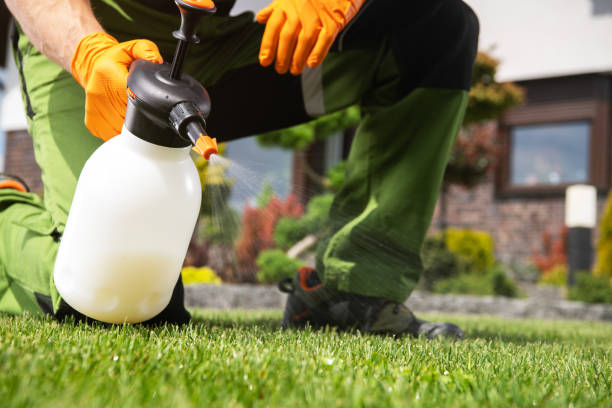 Pest Prevention Services in New Deal, TX