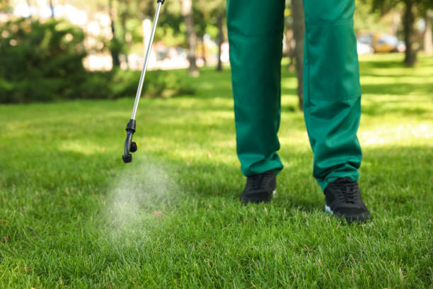 Best Pest Inspection Near Me  in New Deal, TX