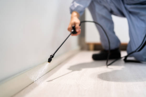 Best Pest Removal Services  in New Deal, TX