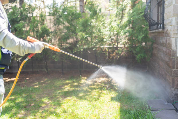 Best Affordable Pest Control Services  in New Deal, TX