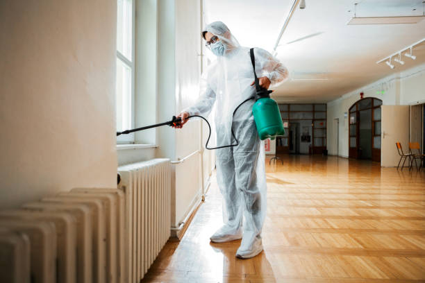 Best Wasp Removal Services  in New Deal, TX